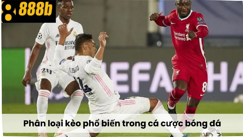 Phân loại kèo phổ biến trong cá cược bóng đá