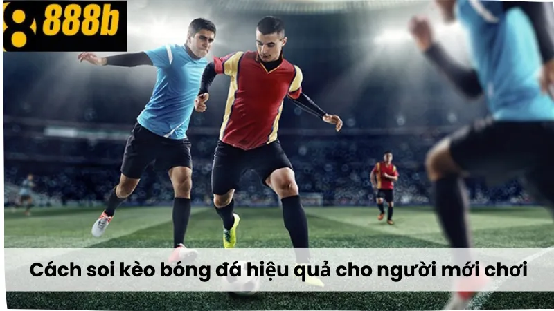 Cách Soi Kèo Bóng Đá Là Gì hiệu quả cho người mới chơi